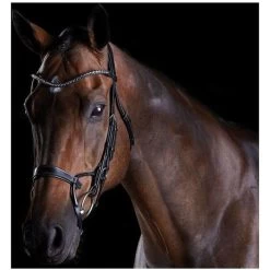 2021 Collegiate Comfitec Crystal Bridle 80770 - Black
