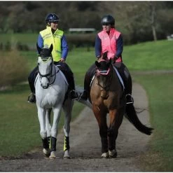 Weatherbeeta Adults Reflective Quilted Gilet Hi Vis Pink 1005273 Colour Pink -Equestrian Products Store 1005273007 1005273002 1004916006 WB REFLECT Lifestyle scaled e1621425506867.700x700