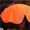 2022 Weatherbeeta 300D Reflective Exercise Sheet 000037 - Orange -Equestrian Products Store 1516 Weatherbeeta 300D Reflective Exercise Sheet Orange.700x700