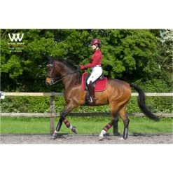 Woof Wear Dressage Saddle Cloth - Shiraz Colour Shiraz 7 Woof Wear Dressage Saddle Cloth - Shiraz Colour Shiraz -Equestrian Products Store 1789 Shiraz201.700x700