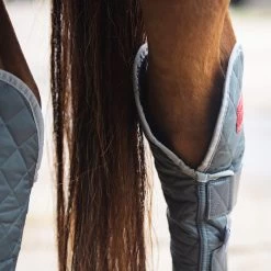 2022 Equilibrium Hind & Hock Magnetic Chaps EQB1186 - Grey -Equestrian Products Store 1852 202220Equilibrium20Hind2020Hock20Magnetic20Chaps20EQB118620 20Grey20Close20Up201.700x700