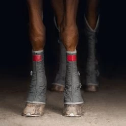 2022 Equilibrium Hind & Hock Magnetic Chaps EQB1186 - Grey -Equestrian Products Store 1852 202220Equilibrium20Hind2020Hock20Magnetic20Chaps20EQB118620 20Grey20Close20Up203.700x700
