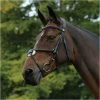 2022 Collegiate Comfitec Grackle Bridle 100637700 - Black Colour Black -Equestrian Products Store 202120Collegiate20Comfitec20Grackle20Bridle2010063770020 20Black20main.700x700