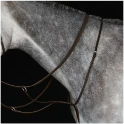 2022 Collegiate Running Martingale IV 800902 - Brown Colour Brown