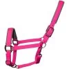 2022 Woof Wear Cob Contour Head Collar WS0022-BERY-COB - Berry