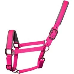 2022 Woof Wear Cob Contour Head Collar WS0022-BERY-COB - Berry