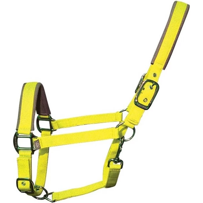 2022 Woof Wear Full Size Contour Head Collar WS0022-YELL-FS - Yellow 3 2022 Woof Wear Full Size Contour Head Collar WS0022-YELL-FS - Yellow