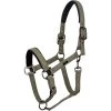 2023 HV Polo Francis Headcollar 1601093450 - Dark Oil Green -Equestrian Products Store 202320HV20Polo20Francis20Headcollar20160109345020 20Dark20Oil20Green201.700x700
