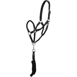 2023 HV Polo Franka Headcollar 1601093453 - Black Colour Black