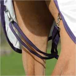 2023 Weatherbeeta Comfitec Essential Mesh II Combo Neck Fly Rug 1000441166 - White / Maroon / Grey Colour Grey/White/Maroon -Equestrian Products Store 202320Weatherbeeta20Comfitec20Essential20Mesh20II20Combo20Neck20100044116620 20WhiteMarron2020Grey20close203.700x700