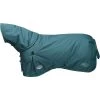 2023 Weatherbeeta Green-Tec 1200D Detach-A-Neck Lite Plus Turnout Rug - Dragonfly Blue / Bottle Green