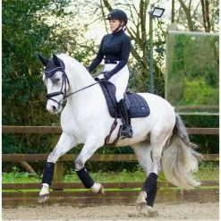 2022 Woof Wear Vision Fly Veil WS0012 - Black Colour Black -Equestrian Products Store 2863 Vision20Black2017.700x700