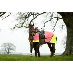 2022 Equisafety Charlotte Dujardin Hi Vis Multi Coloured Horse Sheet CD-MCQWS - Pink / Yellow 9 2022 Equisafety Charlotte Dujardin Hi Vis Multi Coloured Horse Sheet CD-MCQWS - Pink / Yellow -Equestrian Products Store 3127 Equisafety Jan22 144201201.700x700