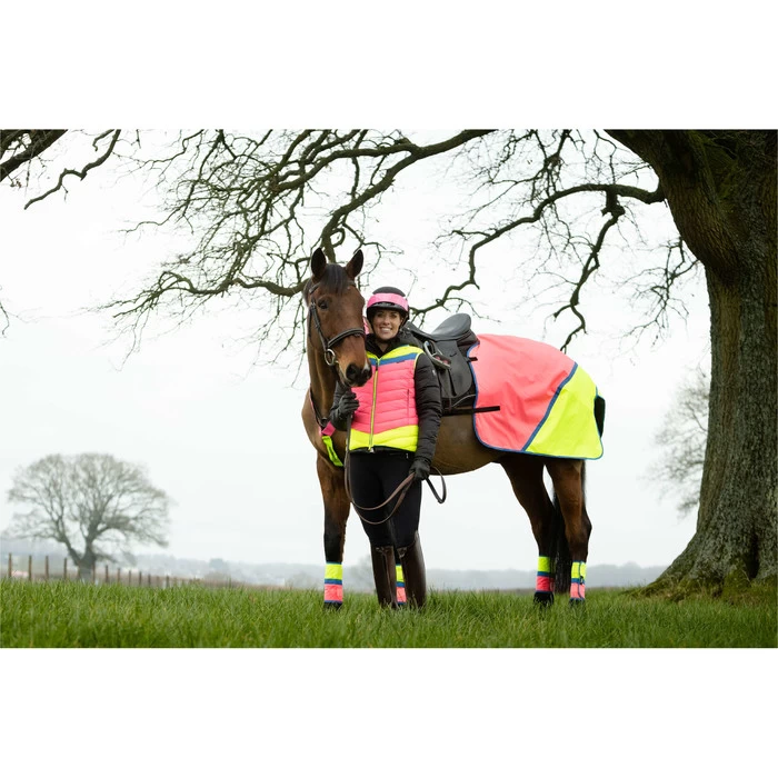 2022 Equisafety Charlotte Dujardin Hi Vis Multi Coloured Horse Sheet CD-MCQWS - Pink / Yellow 6 2022 Equisafety Charlotte Dujardin Hi Vis Multi Coloured Horse Sheet CD-MCQWS - Pink / Yellow - Image 4