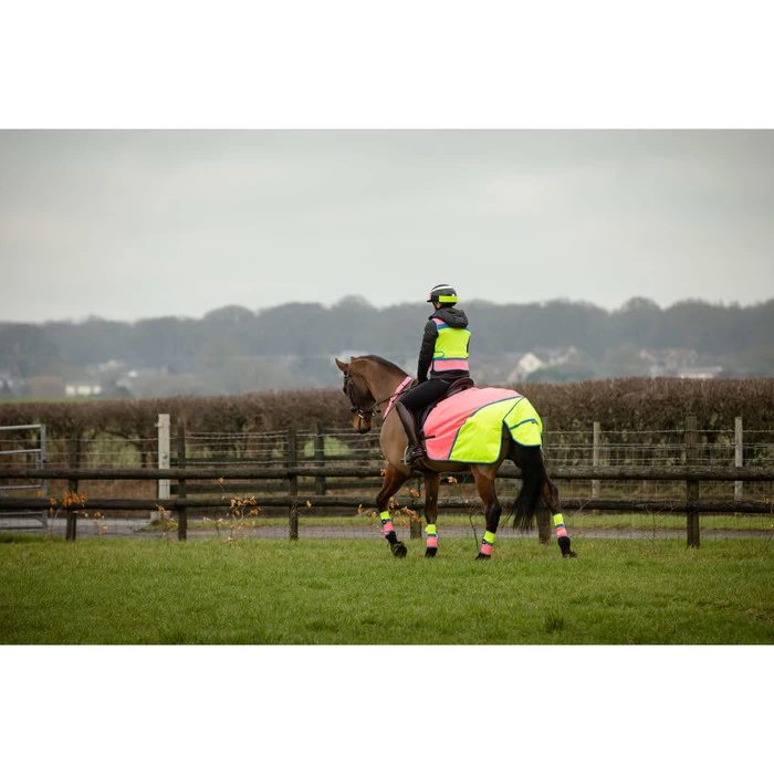 2022 Equisafety Charlotte Dujardin Hi Vis Multi Coloured Horse Sheet CD-MCQWS - Pink / Yellow 4 2022 Equisafety Charlotte Dujardin Hi Vis Multi Coloured Horse Sheet CD-MCQWS - Pink / Yellow - Image 2