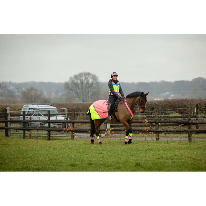 2022 Equisafety Charlotte Dujardin Hi Vis Multi Coloured Horse Sheet CD-MCQWS - Pink / Yellow 5 2022 Equisafety Charlotte Dujardin Hi Vis Multi Coloured Horse Sheet CD-MCQWS - Pink / Yellow - Image 3