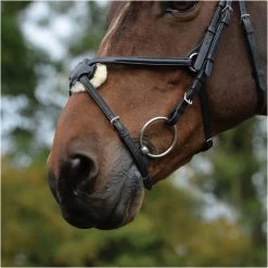 2022 Collegiate Comfitec Grackle Bridle 100637700 - Black Colour Black -Equestrian Products Store 3431 202120Collegiate20Comfitec20Grackle20Bridle2010063770020 20Black20detail.700x700
