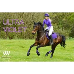 2022 Woof Wear Performance Riding Shirt WA0001 - Ultra Violet Colour Ultra Violet 9 2022 Woof Wear Performance Riding Shirt WA0001 - Ultra Violet Colour Ultra Violet -Equestrian Products Store 3747 Ultra20Violet202.700x700