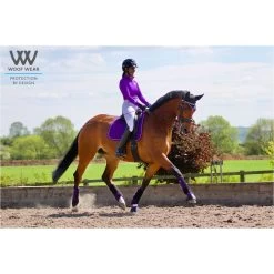 2022 Woof Wear Performance Riding Shirt WA0001 - Ultra Violet Colour Ultra Violet 8 2022 Woof Wear Performance Riding Shirt WA0001 - Ultra Violet Colour Ultra Violet -Equestrian Products Store 3747 Ultra20Violet204.700x700
