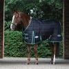 2022 Weatherbeeta Green-Tec Medium-Lite Standard Neck Rug - Black / Green