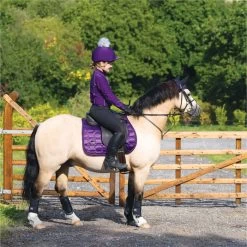 2022 Woof Wear Vision GP Saddle Pad WS0009 - Damsen Purple Colour Damsen Purple -Equestrian Products Store 4638 Damson20Vision20320 20low20res.700x700