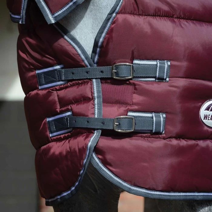 2022 Weatherbeeta Comfitec 210D Channel Quilt Combo Neck Medium Rug 10004380 - Grape Purple / Blue 3 2022 Weatherbeeta Comfitec 210D Channel Quilt Combo Neck Medium Rug 10004380 - Grape Purple / Blue - Image 2