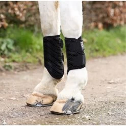 2023 Equilibrium Tri-Zone Brushing Boot 8546 - Black Colour Black 7 2023 Equilibrium Tri-Zone Brushing Boot 8546 - Black Colour Black -Equestrian Products Store 5583 202320Equilibrium20Tri Zone20Brushing20Boot20854620 20Black20Lifestyle2022.700x700