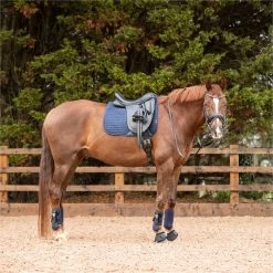 2022 Equilibrium Tri-Zone All Sports Boots EQB16 - Navy -Equestrian Products Store 5586 202220Equilibrium20Tri Zone20All20Sports20Boots20EQB1620 20Navy20Lifestyle203.700x700