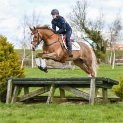 2022 Equilibrium Tri-Zone Impact Sports Boots Hind EQB11 - White 13 2022 Equilibrium Tri-Zone Impact Sports Boots Hind EQB11 - White -Equestrian Products Store 5587 202220Equilibrium20Tri Zone20Impact20Sports20Boots20EQB1020 20White20Main20Lifestyle203.700x700