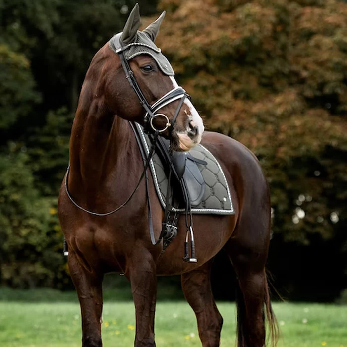 2022 PS Of Sweden Signature Dressage Cotton Saddle Pad 1110-022 - Forest Green 5 2022 PS Of Sweden Signature Dressage Cotton Saddle Pad 1110-022 - Forest Green - Image 3