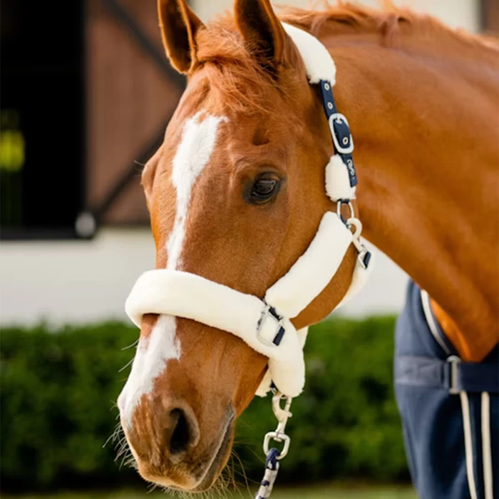 2023 PS Of Sweden Fluffy Halter 1310-001 - White / Navy 4 2023 PS Of Sweden Fluffy Halter 1310-001 - White / Navy - Image 2