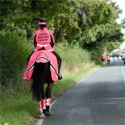 2023 Equisafety Hi-Vis Waterproof Wrap Around Exercise Rug WRUG - Pink -Equestrian Products Store 6120 202320Equisafety20Hi Vis20Waterproof20Wrap20Around20Exercise20Rug20WRUG20 20Pink 20Lifestyle.700x700