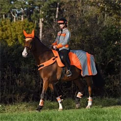 2023 Equisafety Mercury Reflective Exercise Rug MRUG-RO - Orange Colour Orange 7 2023 Equisafety Mercury Reflective Exercise Rug MRUG-RO - Orange Colour Orange -Equestrian Products Store 6121 202320Equisafety20Mercury20Reflective20Exercise20Rug20MRUG RO20 20Orange 20Lifestyle.700x700