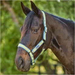 2023 Weatherbeeta Comfitec Essential Standard Neck Lite Turnout With FREE Headcollar - Seahorse Print -Equestrian Products Store 6125 202320Weatherbeeta20Comfitec20Essential20Standard20Neck20Lite20Coordinate20Headcollar20100042031002094020 20Seahorse20Print20Light20Blue20Headcollar20Close20Up201.700x700