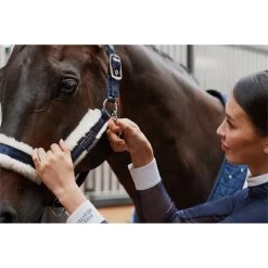 2023 Eskadron Double Pin Matt Gloss Evo-Wool Headcollar 420831 838 - Navy -Equestrian Products Store 6288 esk 0123 kam 420831 838 380 add1.700x700