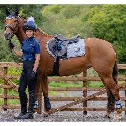 2023 Woof Wear Club Brushing Boots WB0003 - Black / Porcelain Blue Colour Black/Porcelain Blue -Equestrian Products Store 6306 Porcelain202.700x700