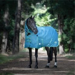 2023 Weatherbeeta Green-Tec 1200D Detach-A-Neck Lite Plus Turnout Rug - Dragonfly Blue / Bottle Green 9 2023 Weatherbeeta Green-Tec 1200D Detach-A-Neck Lite Plus Turnout Rug - Dragonfly Blue / Bottle Green -Equestrian Products Store 6379 202320Weatherbeeta20Green Tec201200D20Detach A Neck20Lite20Plus20Turnout20Rug20 20Dragonfly20Blue202.700x700