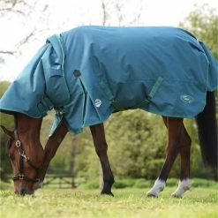 2023 Weatherbeeta Green-Tec 1200D Detach-A-Neck Lite Plus Turnout Rug - Dragonfly Blue / Bottle Green 8 2023 Weatherbeeta Green-Tec 1200D Detach-A-Neck Lite Plus Turnout Rug - Dragonfly Blue / Bottle Green -Equestrian Products Store 6379 202320Weatherbeeta20Green Tec201200D20Detach A Neck20Lite20Plus20Turnout20Rug20 20Dragonfly20Blue203.700x700