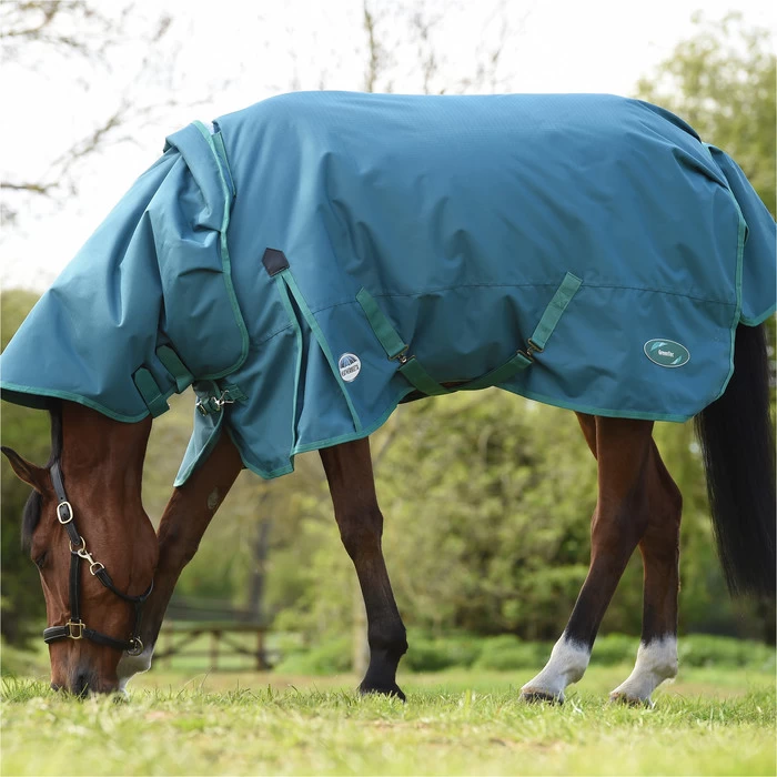 2023 Weatherbeeta Green-Tec 1200D Detach-A-Neck Lite Plus Turnout Rug - Dragonfly Blue / Bottle Green 5 2023 Weatherbeeta Green-Tec 1200D Detach-A-Neck Lite Plus Turnout Rug - Dragonfly Blue / Bottle Green - Image 3