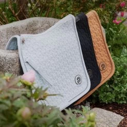 2023 Eskadron Platinum Softshell Saddle Cloth 215539520310 - Black Colour Black 8 2023 Eskadron Platinum Softshell Saddle Cloth 215539520310 - Black Colour Black -Equestrian Products Store 6576 202320Eskadron20Platinum20Softshell20Saddle20Cloth2021553952031020 20Black20Lifestyle202.700x700