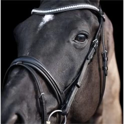 2023 HV Polo Legacy Deluxe Bridle 1201093501 - Black Colour Black -Equestrian Products Store 6923 202320HV20Polo20Legacy20Deluxe20Bridle20120109350120 20Black204.700x700