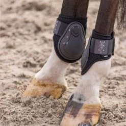 2023 HV Polo Franka Tendon And Fetlock Boots Set 2802093452 - Mocca -Equestrian Products Store 6935 202320HV20Polo20Franka20Tendon20And20Fetlock20Boots20Set20280209345220 20Mocca204.700x700