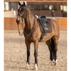 2023 HV Polo Franka Tendon And Fetlock Boots Set 2802093452 - Mocca -Equestrian Products Store 6935 202320HV20Polo20Franka20Tendon20And20Fetlock20Boots20Set20280209345220 20Mocca206.700x700