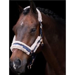 2023 HV Polo Welmoed Shine Headcollar 1601093452 - Navy Colour Navy -Equestrian Products Store 6943 4479fbad1324eab923fa7919ef64bb06ef5a2bbd 1601093452 5001 mfront.700x700