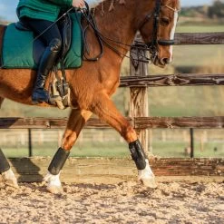 Equilibrium Tri-Zone All Sports Boots Black -Equestrian Products Store ASB20Black20Set20120Web.700x700