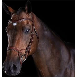 Collegiate Comfitec Training Bridle - Brown Colour Brown