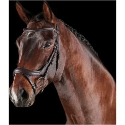2021 Collegiate Comfitec Vogue Anatomical Bridle 100637600 - Brown Colour Brown