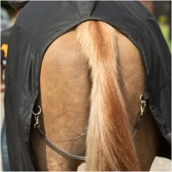 Equilibrium Magnetic Rug With Neck - Black -Equestrian Products Store Equilibrium Magnetic Rug with Neck Black 6.700x700