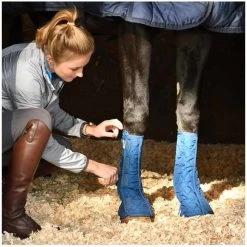 Equilibrium Equi-Chaps Stable Chaps 6 Equilibrium Equi-Chaps Stable Chaps -Equestrian Products Store Equilibrium20Equi Chaps20Stable20Chaps201.700x700