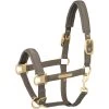 2021 Eskadron Sparkle Double Pin Head Collar 420155831 - Plaza Taupe Colour Plaza Taupe -Equestrian Products Store Eskadron20Sparkle20Double20Pin20Head20Collar2042015583120 20Plaza20Taupe.700x700